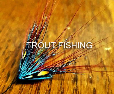 Trout Fishing