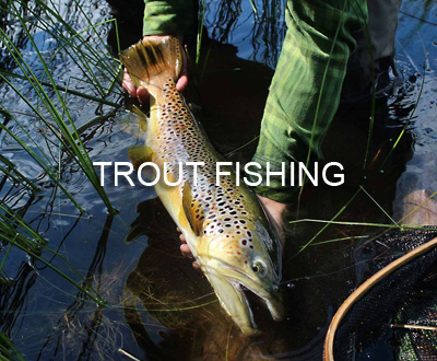 Trout Fishing